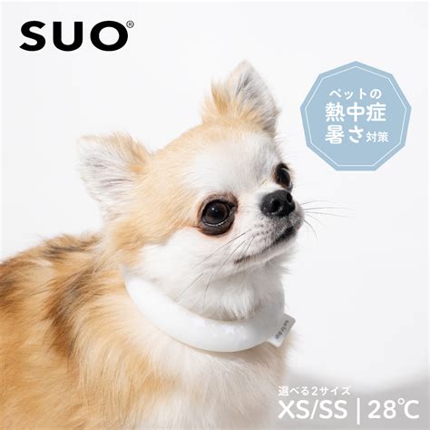 愛犬と心豊かな生活を送る―「suo 犬」のすべて