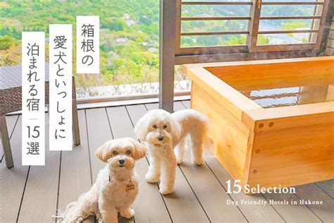 愛犬と楽しめる定山渓温泉のペットフレンドリーホテル