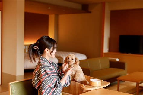 愛犬と過ごす日々を華やかに彩る