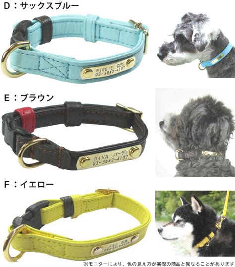 愛犬にぴったりのかわいい首輪の選び方とおすすめランキング