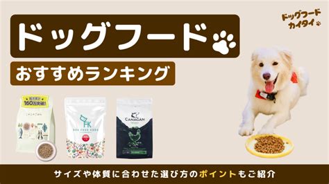 愛犬にぴったりのドッグフードを見つける！おすすめランキング＆賢い選び方