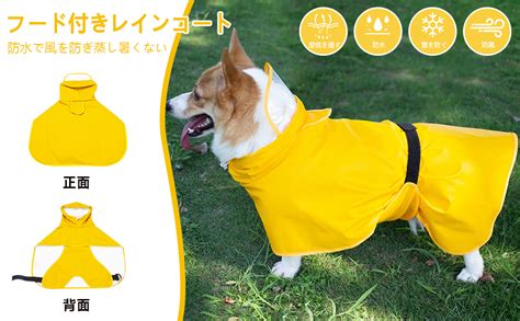 愛犬にぴったりのレインコート選びと着せ方ガイド