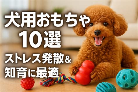 愛犬にぴったりの おもちゃ パピー の選び方ガイド