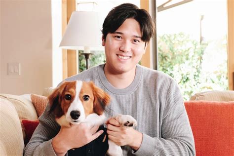 愛犬にやさしいおやつで、健康と絆を深めよう！