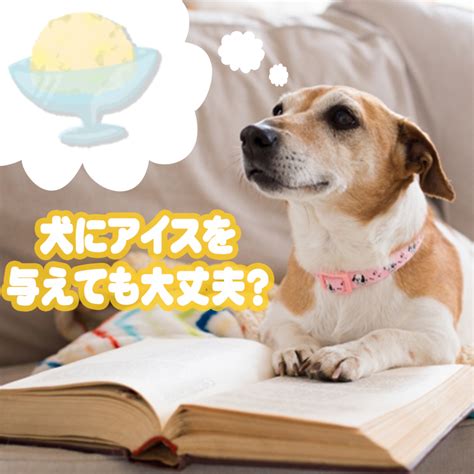 愛犬にクッキーをあげてもいいの？