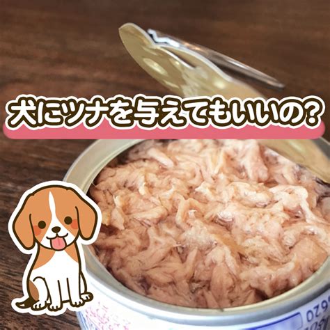 愛犬にチキンを与える際の注意点とメリット