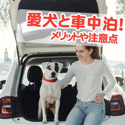 愛犬にフィッシュを！そのメリットと注意点