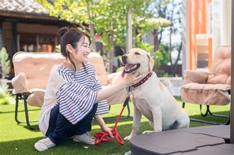 愛犬に再会する方法