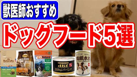 愛犬に最適なドッグフードの選び方とおすすめ製品