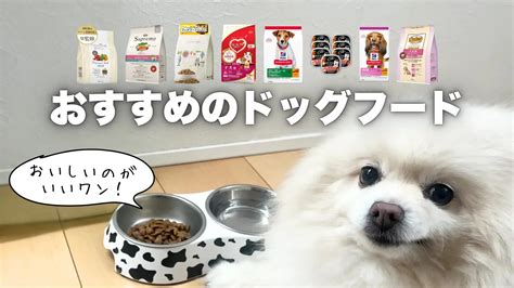 愛犬に最適なドッグフードをお探しの方へ：ユーカヌバの評価とおすすめポイント