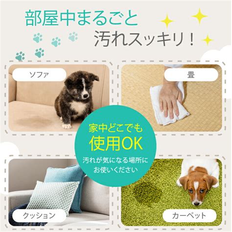 愛犬のおしっこシート: 完全ガイド