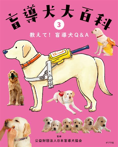 愛犬のことを徹底解剖！すべてがわかる「犬」大百科