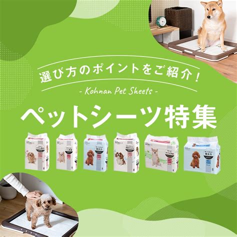 愛犬のために快適な環境を！コスモス ペットシーツの徹底ガイド