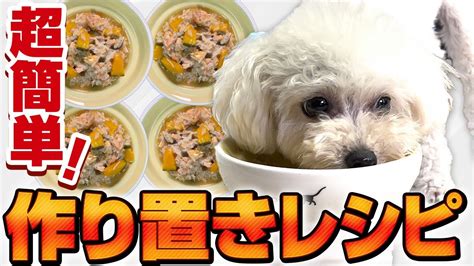 愛犬のためのおいしいケーキ作りガイド