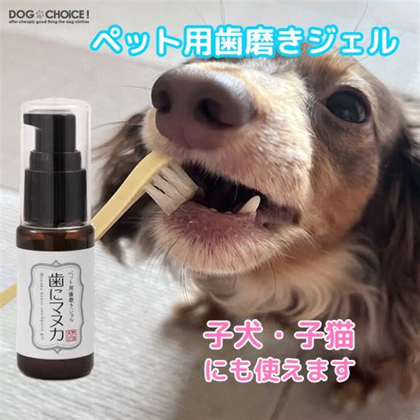 愛犬のためのデンタルジェルで口腔環境を健やかに保つ