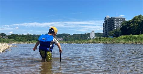 愛犬のためのライフジャケット：水辺の安全と安心を確保するガイド