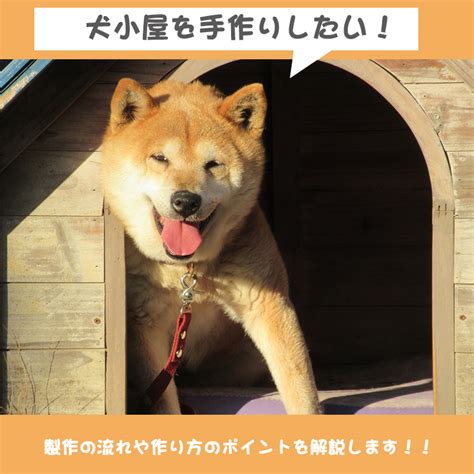 愛犬のための快適で温かい犬小屋で冬を乗り越えよう！