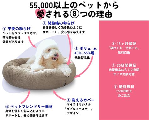 愛犬のための最高の休息空間！マイラ ペット ベッドの徹底ガイド