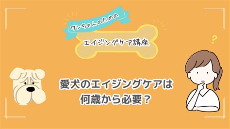 愛犬のエイジングケア