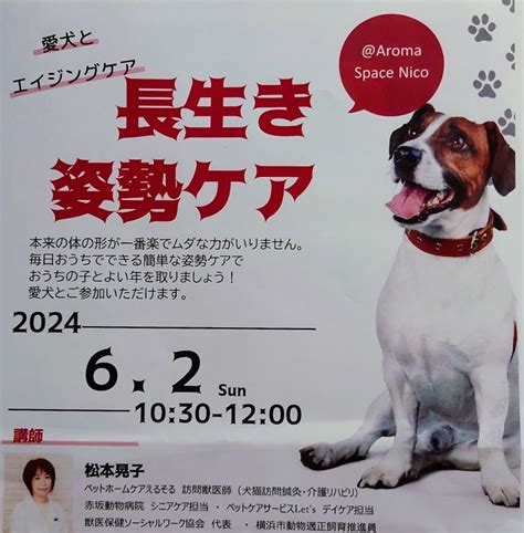 愛犬のエイジングケアをマスター！長生きで健康な毎日をサポートしよう