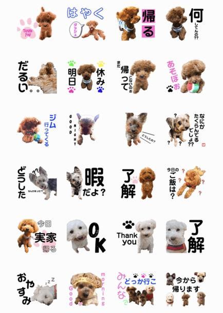 愛犬のスタンプ、犬種別にご紹介