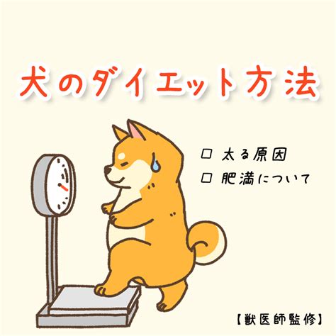 愛犬のダイエット：方法とガイドライン