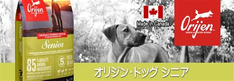 愛犬の健やかなシニアライフをサポートする！オリジン シニア ドッグフードの魅力とは？