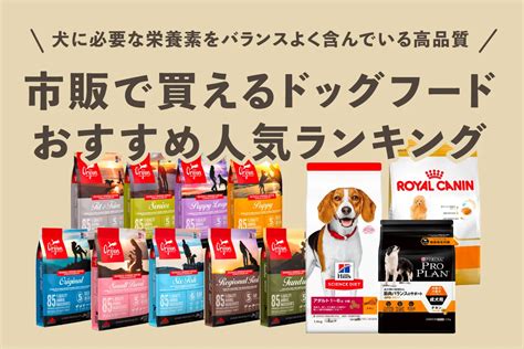 愛犬の健康と幸せに欠かせない、おすすめドッグフードランキング