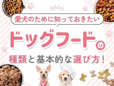 愛犬の健康と幸せのために！ドックフード評判徹底ガイド