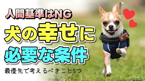 愛犬の健康と幸せを最優先