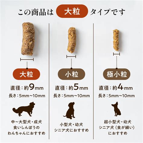 愛犬の健康に欠かせないドライフードの賢い選び方