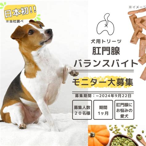 愛犬の健康をサポートする酵素の活用