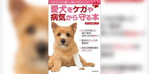 愛犬の健康を守るマグロの真実：メリット、注意点、安全性