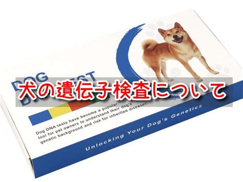 愛犬の健康を守る！遺伝子検査でわかること