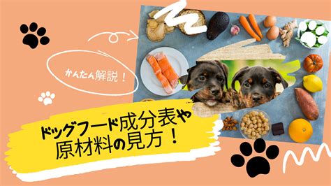 愛犬の健康を最優先！ユカヌバ ドッグフードの徹底解説