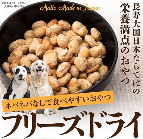 愛犬の健康を維持するためのフリーズドライ納豆の活用