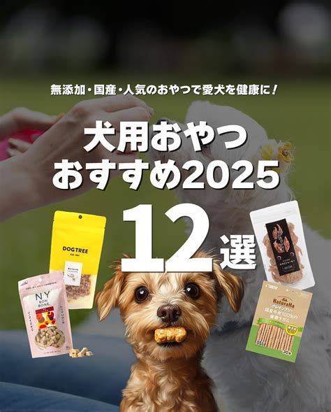 愛犬の健康的なおやつを探している方に、鶏ささみジャーキーを自信を持っておすすめします。