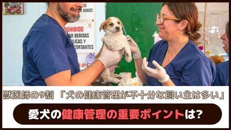 愛犬の健康管理