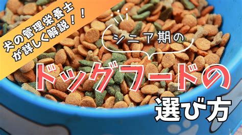 愛犬の健康維持に欠かせない！シニア犬に最適なドッグフードの選び方とおすすめ10選