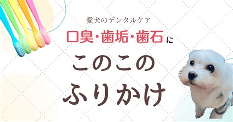 愛犬の口内ケアに欠かせないデンタルジェル