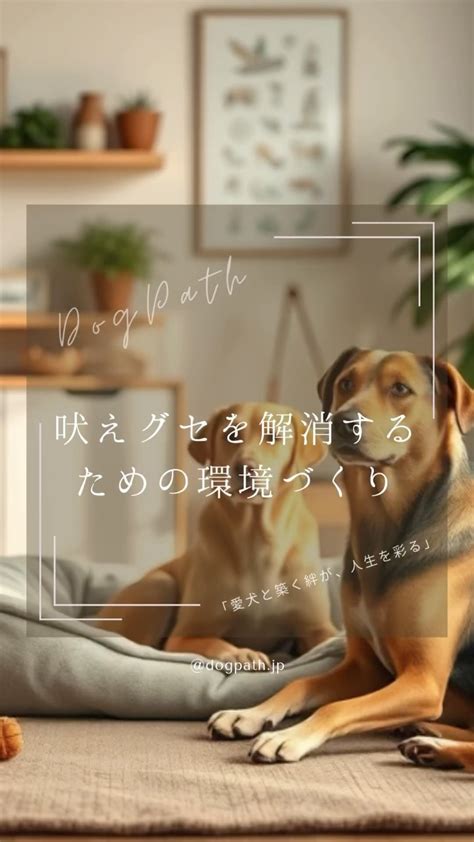 愛犬の吠えぐせ対策で賢く平和な暮らしを