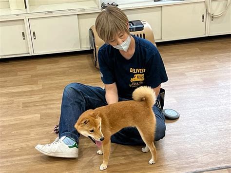 愛犬の呼び戻しを完璧にするための究極ガイド