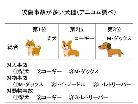 愛犬の咬傷の現状