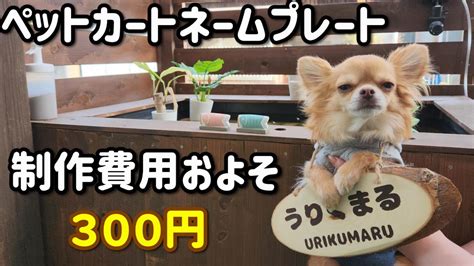 愛犬の安全と安心を守る！愛犬用ネームプレートの正しい選び方と活用法