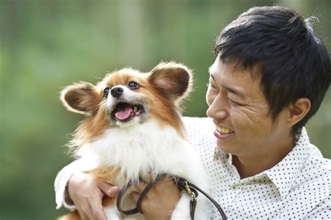 愛犬の幸せの指標