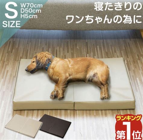 愛犬の床ずれ防止マットで快適な老後生活を！