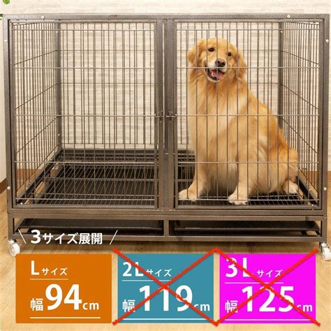 愛犬の快適で安全な空間を確保する