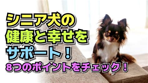 愛犬の排便習慣を徹底理解！健康と快適な生活のために