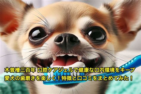 愛犬の歯磨きで健康な口腔環境を維持しよう