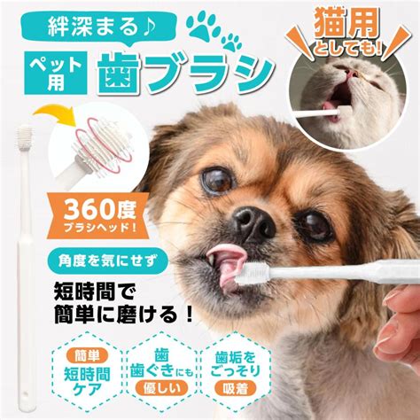 愛犬の歯磨きを効率良く！360度歯ブラシの徹底解説